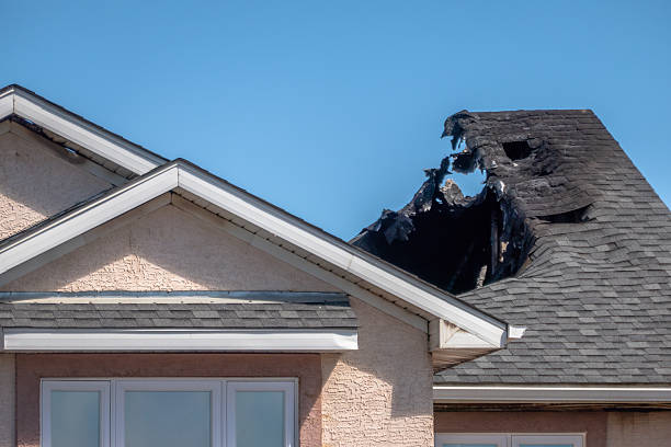 Top rated local Board Up Services specialists in Saint Francis, MN
